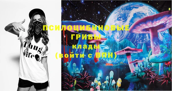 шишки Карталы