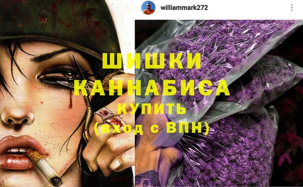 дживик Навашино