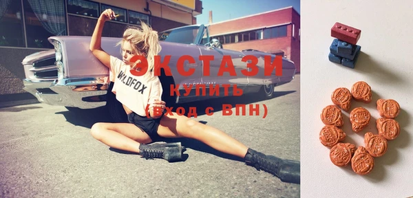 ECSTASY Болотное