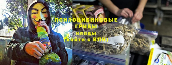 амф Надым
